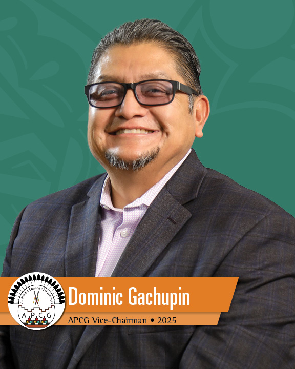 dominic_gachupin_APCG_vice_chairman